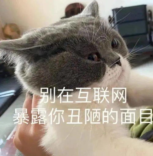  抖音表情包i要做一个干干净净的女孩子