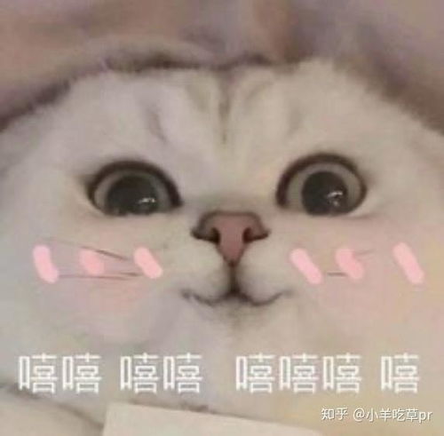 嘻嘻嘻嘻表情包觉得