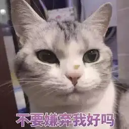 猫咪表情包打滚,撒娇,不要嫌弃我好吗 猫咪表情包打滚,撒娇,不要嫌弃我好吗