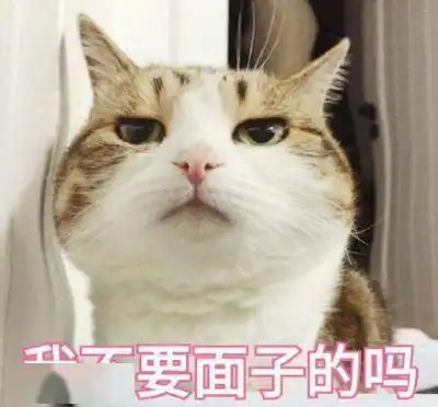  看完这些,你还想养猫吗