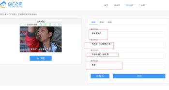  王境泽gif表情包改字幕在线制作教程