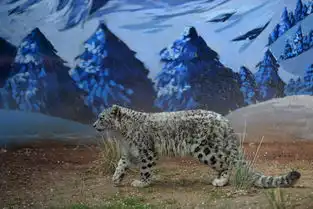 一周外媒动物图片精选袋鼠在海边悠然觅食 一周外媒动物图片精选袋鼠在海边悠然觅食