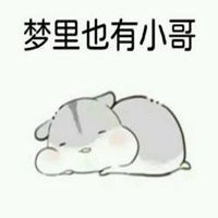  撩小哥哥的仓鼠表情包微信头像图片大全