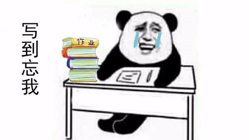  学习学到两败俱伤自习遇到这些人真的很抓狂