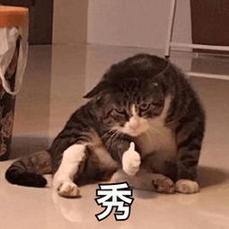  中年男子判定新标准出炉接电话说的喂是第几声