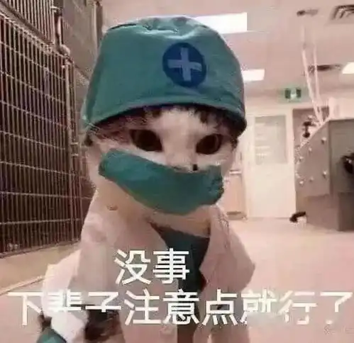 每日精选沙雕表情包 每日精选沙雕表情包