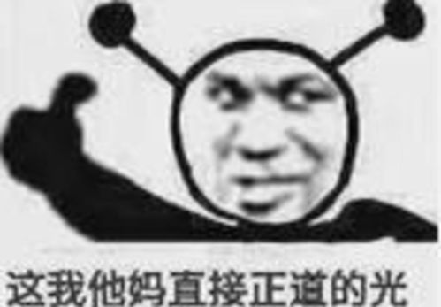 钓鱼表情包图片大全郑凯