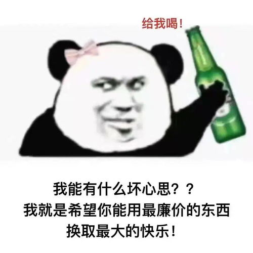  实用斗图表情包