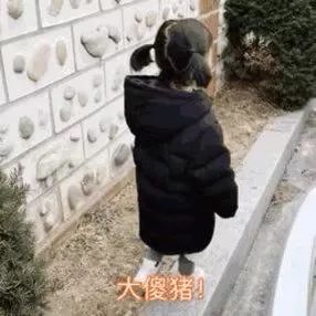 搞笑qq斗图表情包好安静