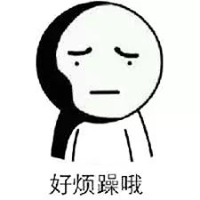  澳洲电子护照处理系统崩溃,全国各地机场大面积延误,场面堪比春运