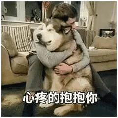  今年会有多少成考生