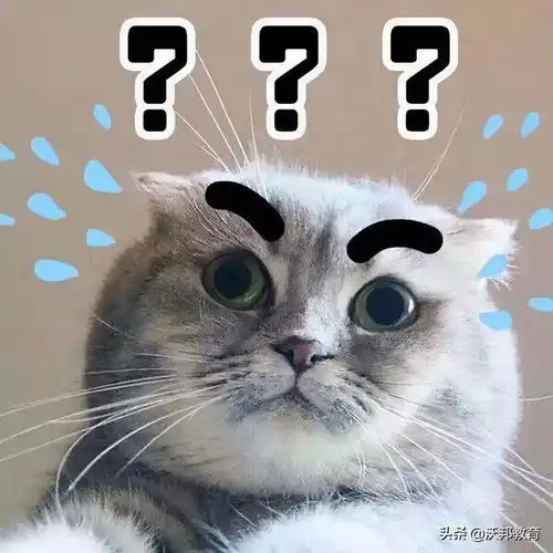 大无语事件发生表情包可