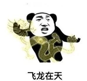 qq斗图表情包熊猫毒打