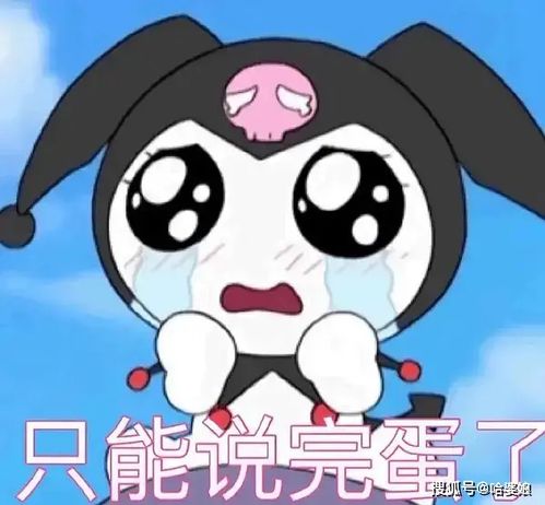  库洛米表情包来啦