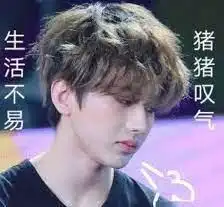 蔡徐坤发型表情包鬼畜ro