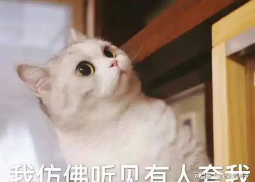 养猫就养这几种,比狗还忠诚,很难不爱 养猫就养这几种,比狗还忠诚,很难不爱