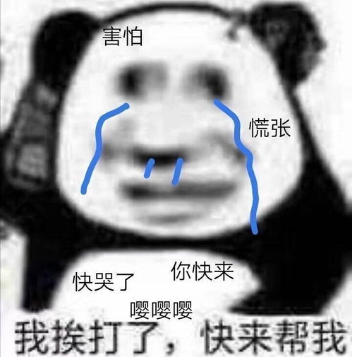  又在决斗派对挨打了
