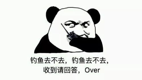  因为钓鱼发生的一箩筐趣味事