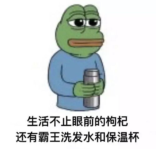  你们看了小钢炮那期的晓说了吗简直是大尾巴狼本狼...