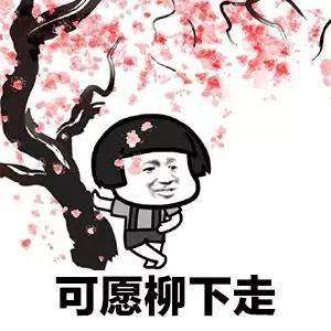  抖音我的将军啊表情包动图超级搞笑啊