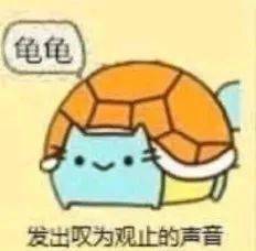  我发的不是表情包,是艺术