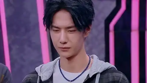 微臣做不到啊表情包王一