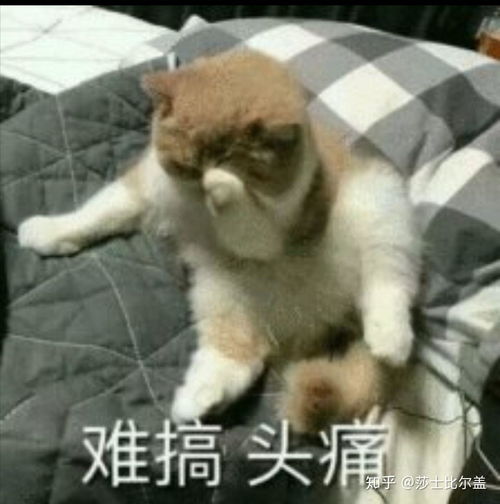 头疼表情包图片表情