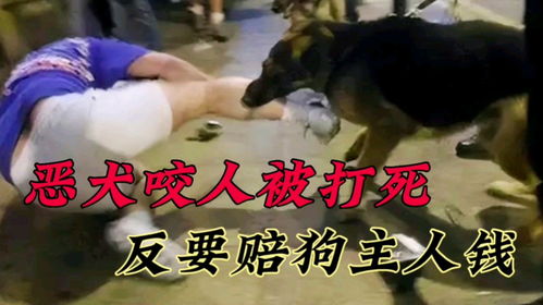  恶犬咬人被打死,伤者要求赔偿反被告,法院你要赔狗主人的钱