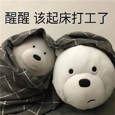  请允许我做一个悲伤的表情包