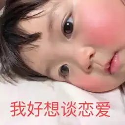  今日份表情包