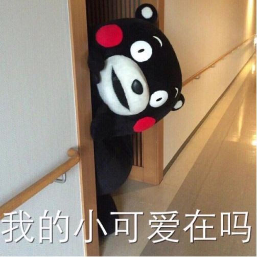  用这神器摘杨梅,不用爬不用摇,一招搞定宁波杨梅攻略来啦