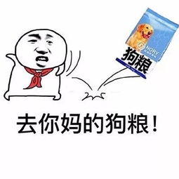  公众场合禁止虐狗