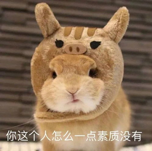  表情包这个世界太乱,快来我怀里