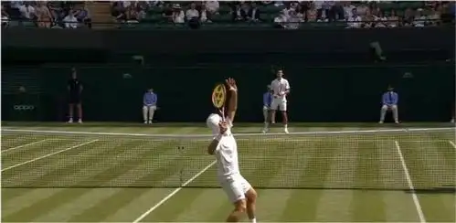  头号种子德约罕见怒吼状态起伏略显疲态