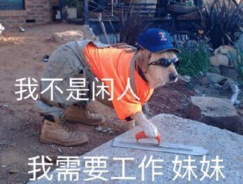  疫情之下,中国动画夏至未至
