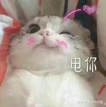  小草缸投稿