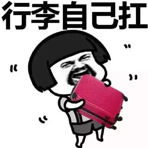 麻痹的表情包工科