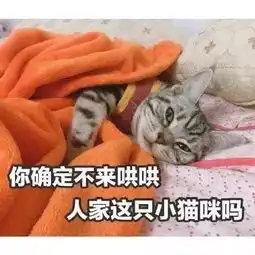 猫咪老师表情包带字亲兄