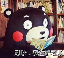  熊本熊关于学习的表情包我爱学习,学习使我快乐