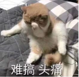  互联网大厂面试指南,我是如何进入大厂的