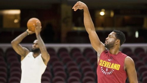 nba表情包尼克杨韦德