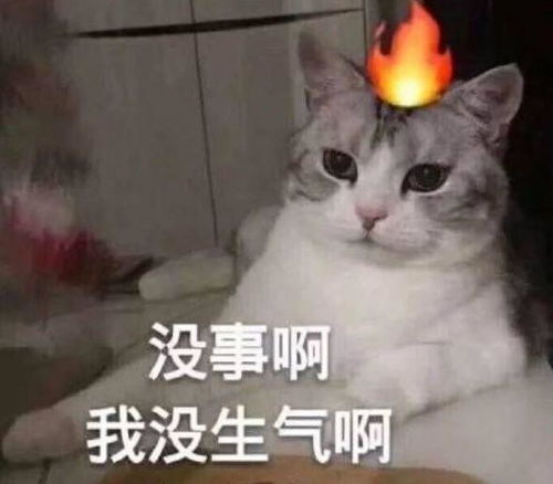我看你行的表情包疫情