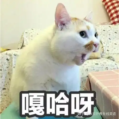 人民币的英文缩写,居然不是rmb那是什么 人民币的英文缩写,居然不是rmb那是什么