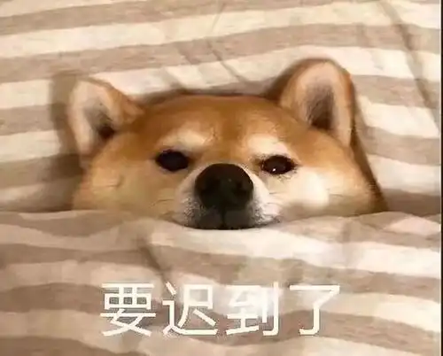 招新这是一份紧密围绕着体育精神的骨干招新 招新这是一份紧密围绕着体育精神的骨干招新