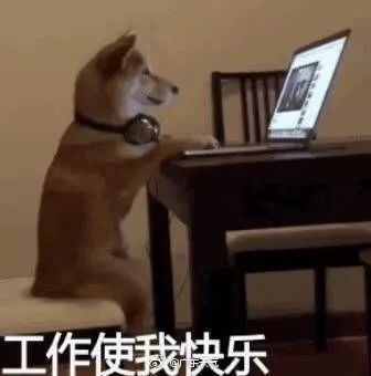  听说又有新台风生成了,假期要泡汤吗别怕,国庆长假天气都安排好了