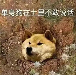  古今中外,虐狗秀恩爱最强的竟是他们