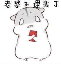  pet丶阮卿.仓鼠表情包