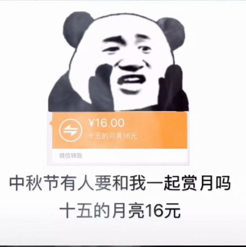  十五的月亮16元微信对话图片下载十五的月亮16元微信对话图片大全分享v1.0嗨客手机站