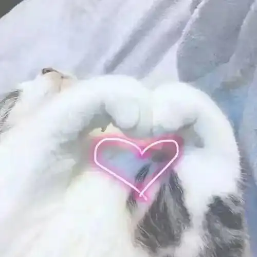 求追星少女包养爱豆的文女主人设类似段家宝 求追星少女包养爱豆的文女主人设类似段家宝