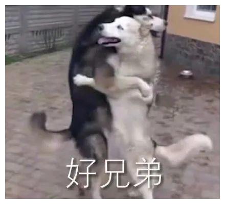  高中校园生活图鉴这是什么偶像剧啊,太好哭了